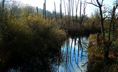 Wanderung Eichwerder Steg 2