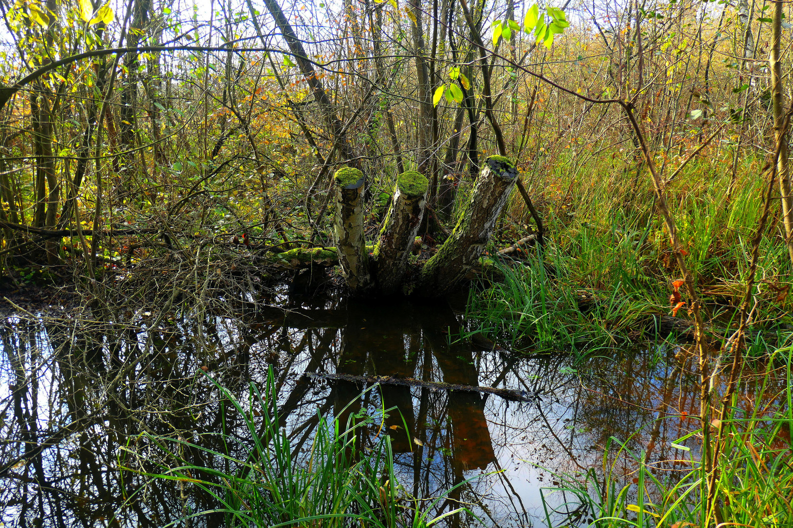 Wanderung Eichwerder Steg 3