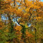 Wanderung Eichwerder Steg 4