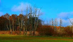 Wanderung Eichwerder Steg 5