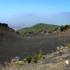 Wanderung El Pilar - Beim Astropunkt