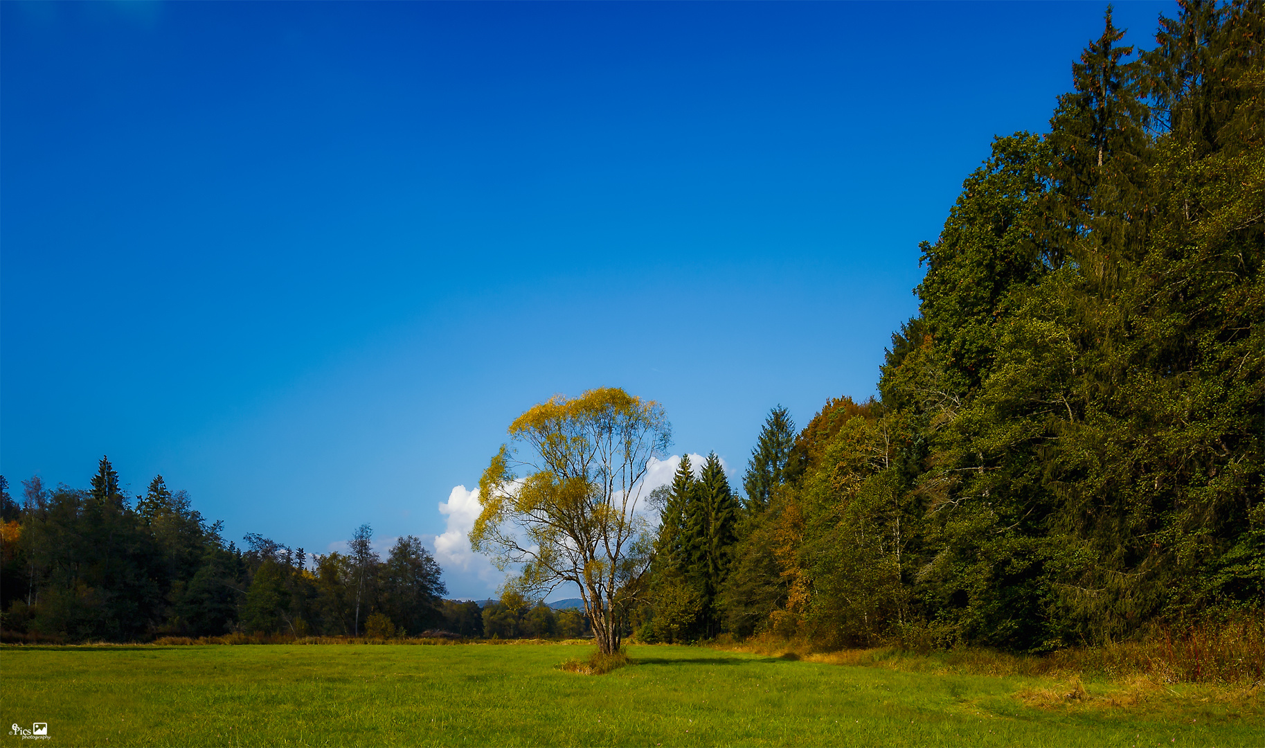 Wanderung entlang der Ilz - Bayern616