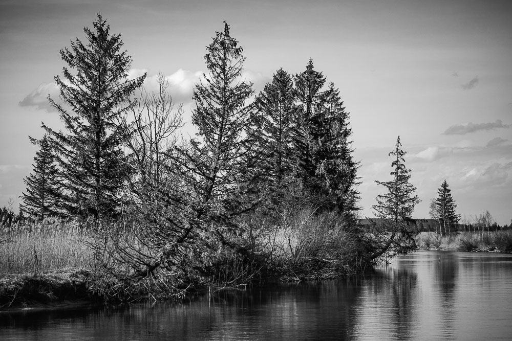 ~Wanderung entlang der Loisach III~