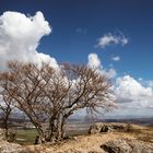 Wanderung entlang des Albtraufs