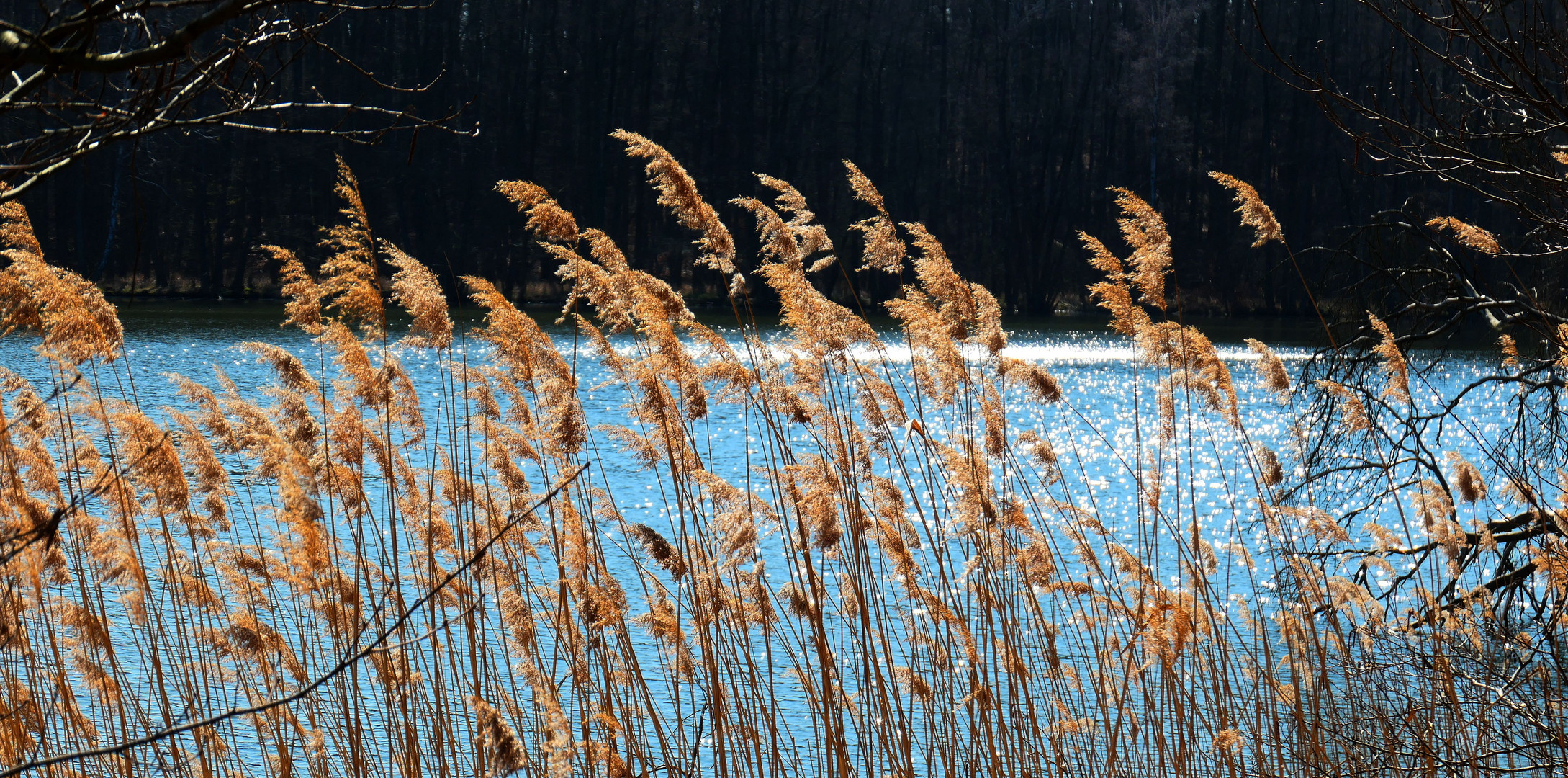 Wanderung Hellsee 2019 - Der Frühling