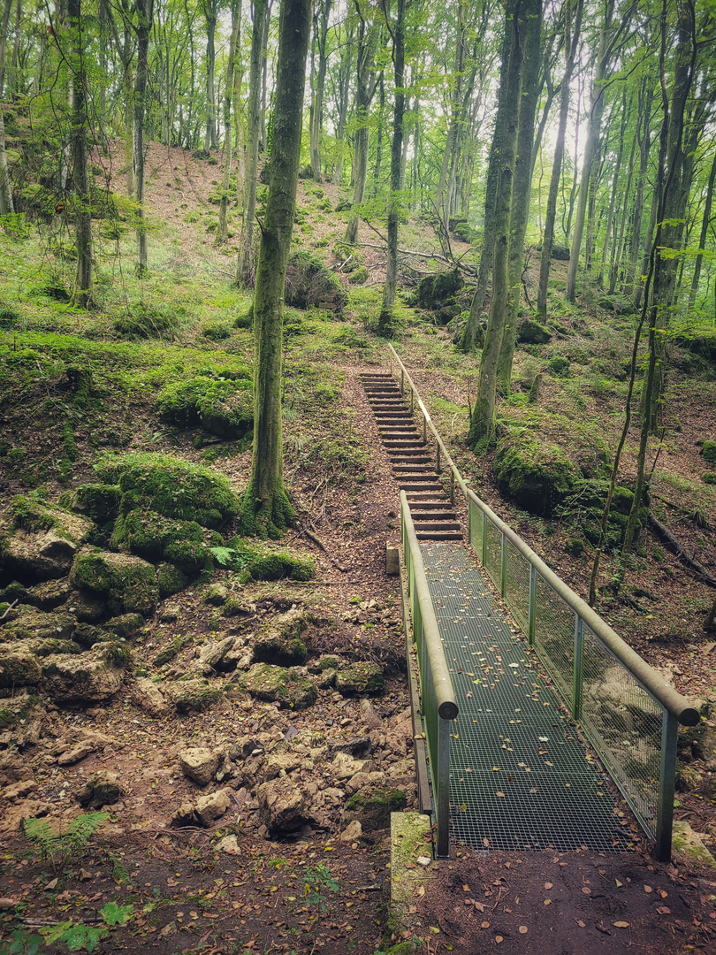 Wanderung im Altburgbachtal 