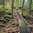 Wanderung im Altburgbachtal 