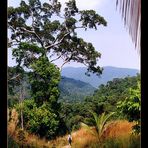 Wanderung im Bokor Nationalpark