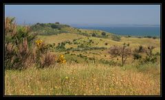 Wanderung im Dornbusch