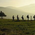 Wanderung im Elsaß II