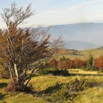 Wanderung im Elsaß IV