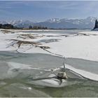 Wanderung im Forggensee