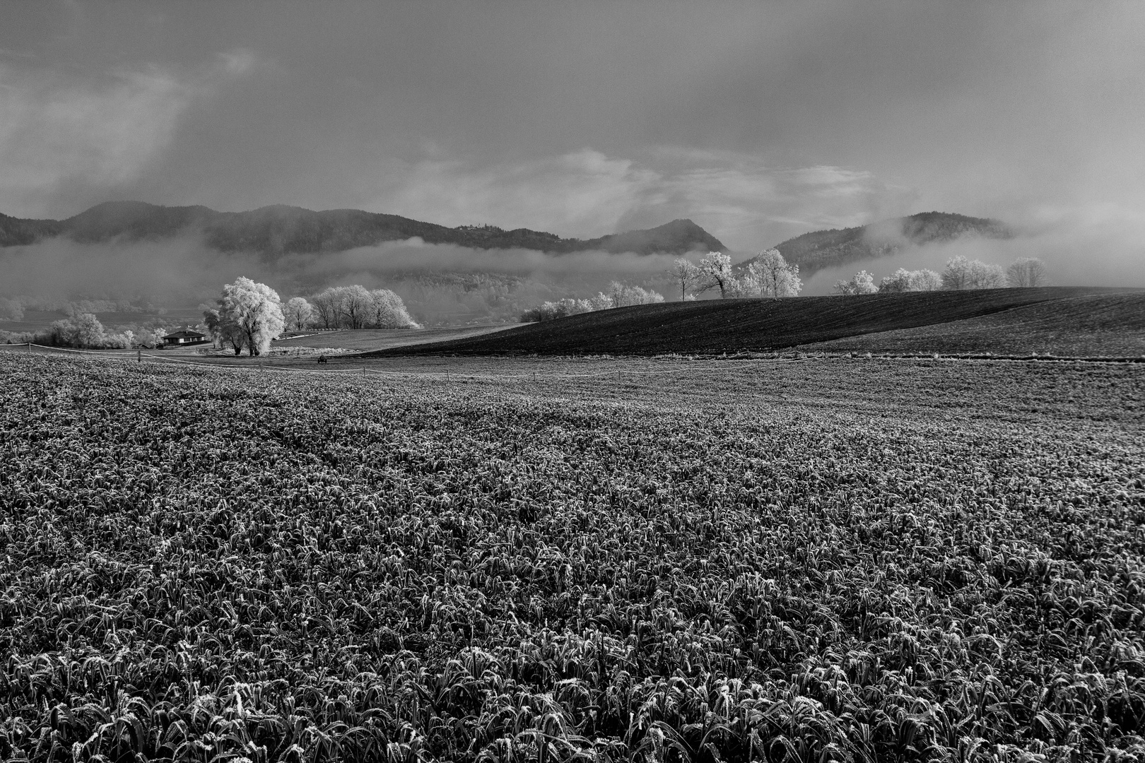 Wanderung im Frost