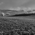 Wanderung im Frost