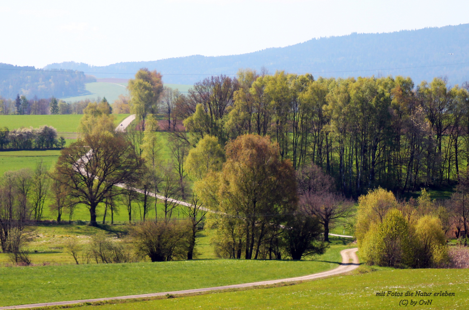 Wanderung im Frühling