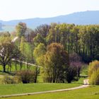 Wanderung im Frühling