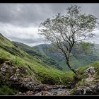 Wanderung im Glen Coe 2