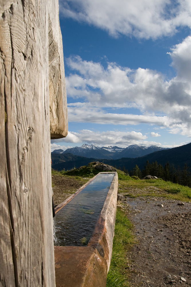 Wanderung im Herbst 2008