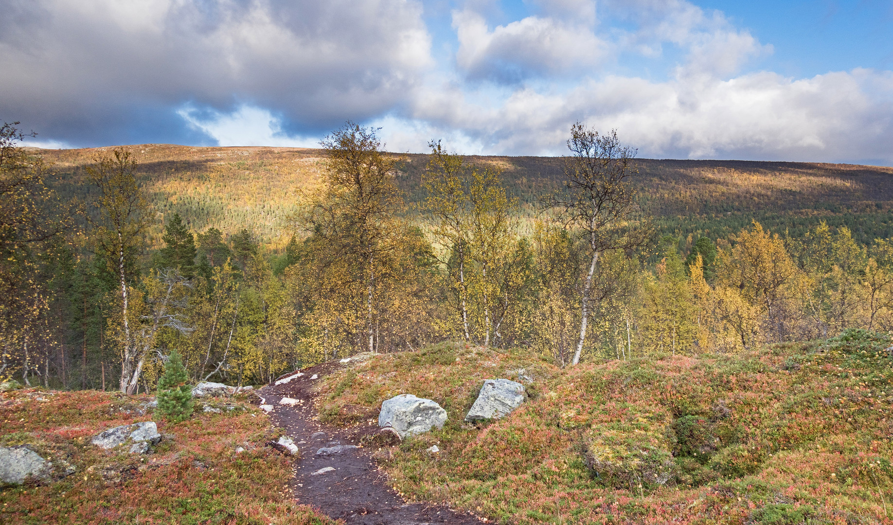 Wanderung im Herbstwald