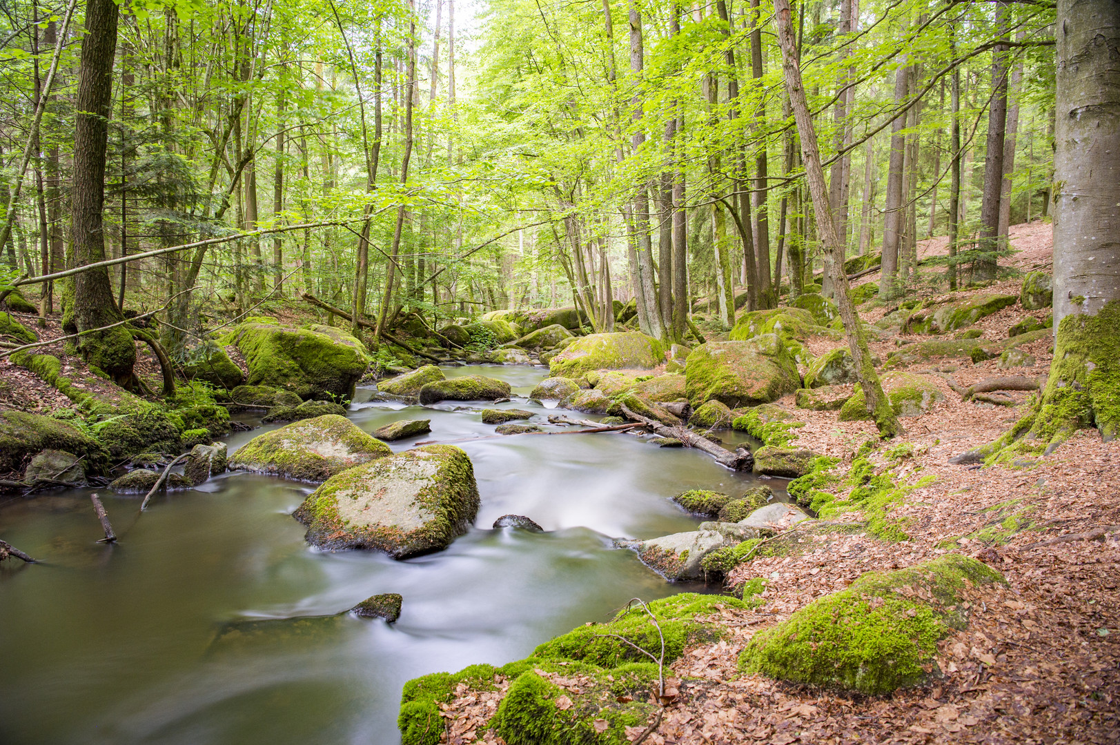 Wanderung im Höllbachtal