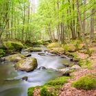 Wanderung im Höllbachtal