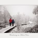 Wanderung im Hohen Venn