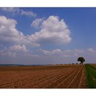 Wanderung im Kraichgau.....