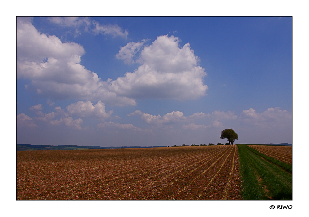 Wanderung im Kraichgau.....