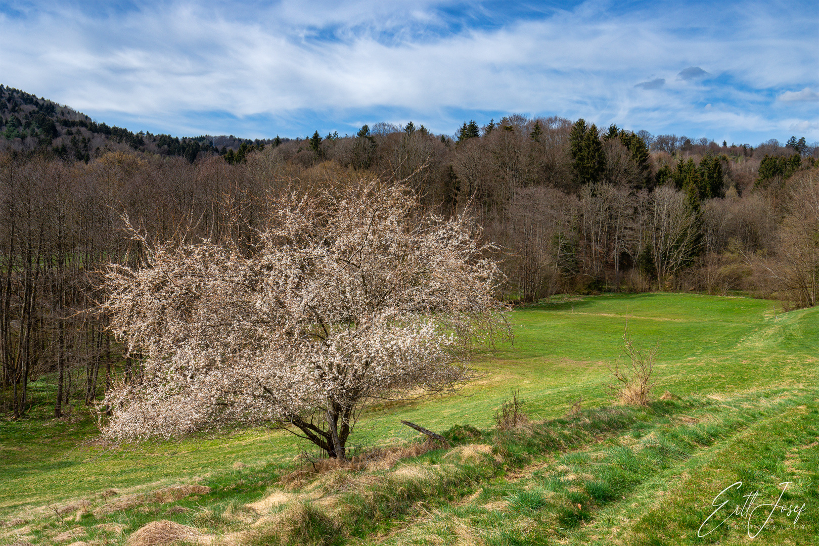 Wanderung im Lallinger Winkel - Tour 1