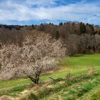 Wanderung im Lallinger Winkel - Tour 1