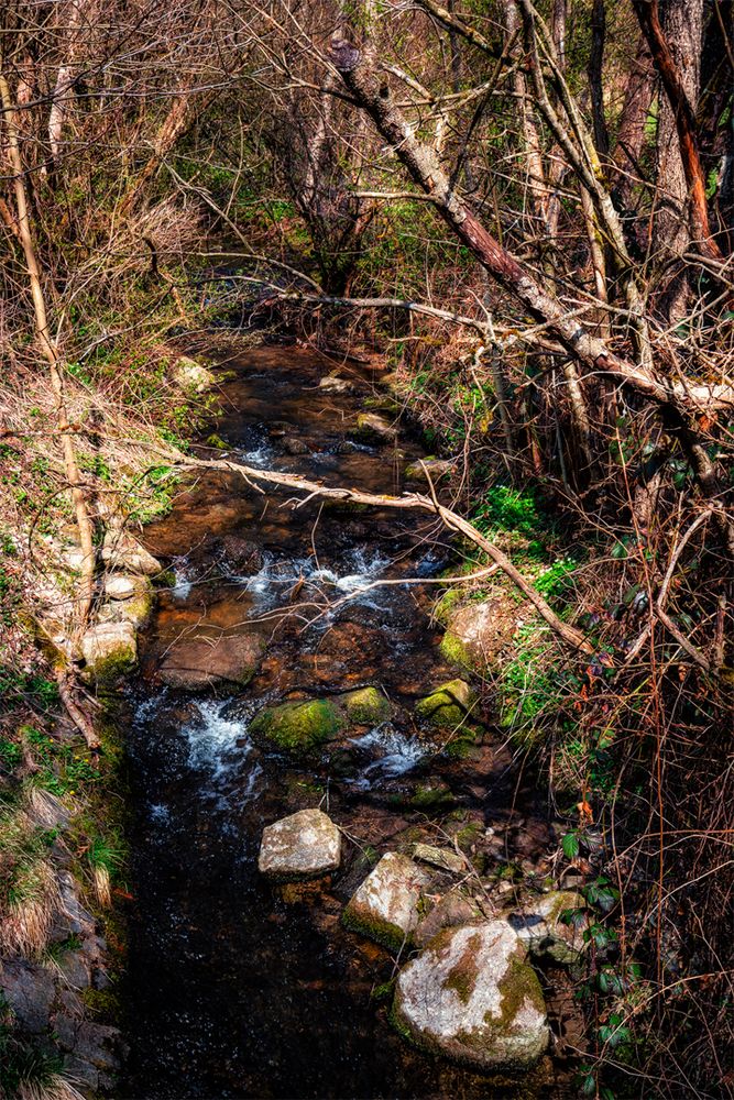 Wanderung im Lallinger Winkel - Tour 1