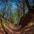 Wanderung im Lallinger Winkel - Tour 1