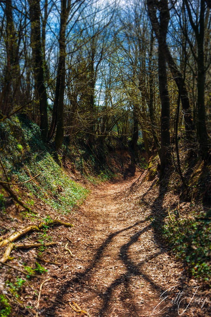 Wanderung im Lallinger Winkel - Tour 1