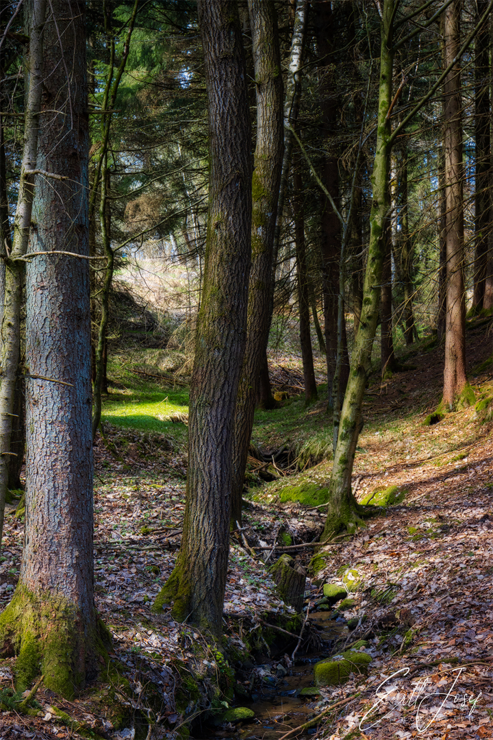 Wanderung im Lallinger Winkel - Tour 1