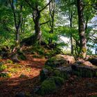 Wanderung im Lallinger Winkel - Tour 10