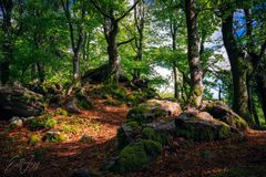 Wanderung im Lallinger Winkel - Tour 10