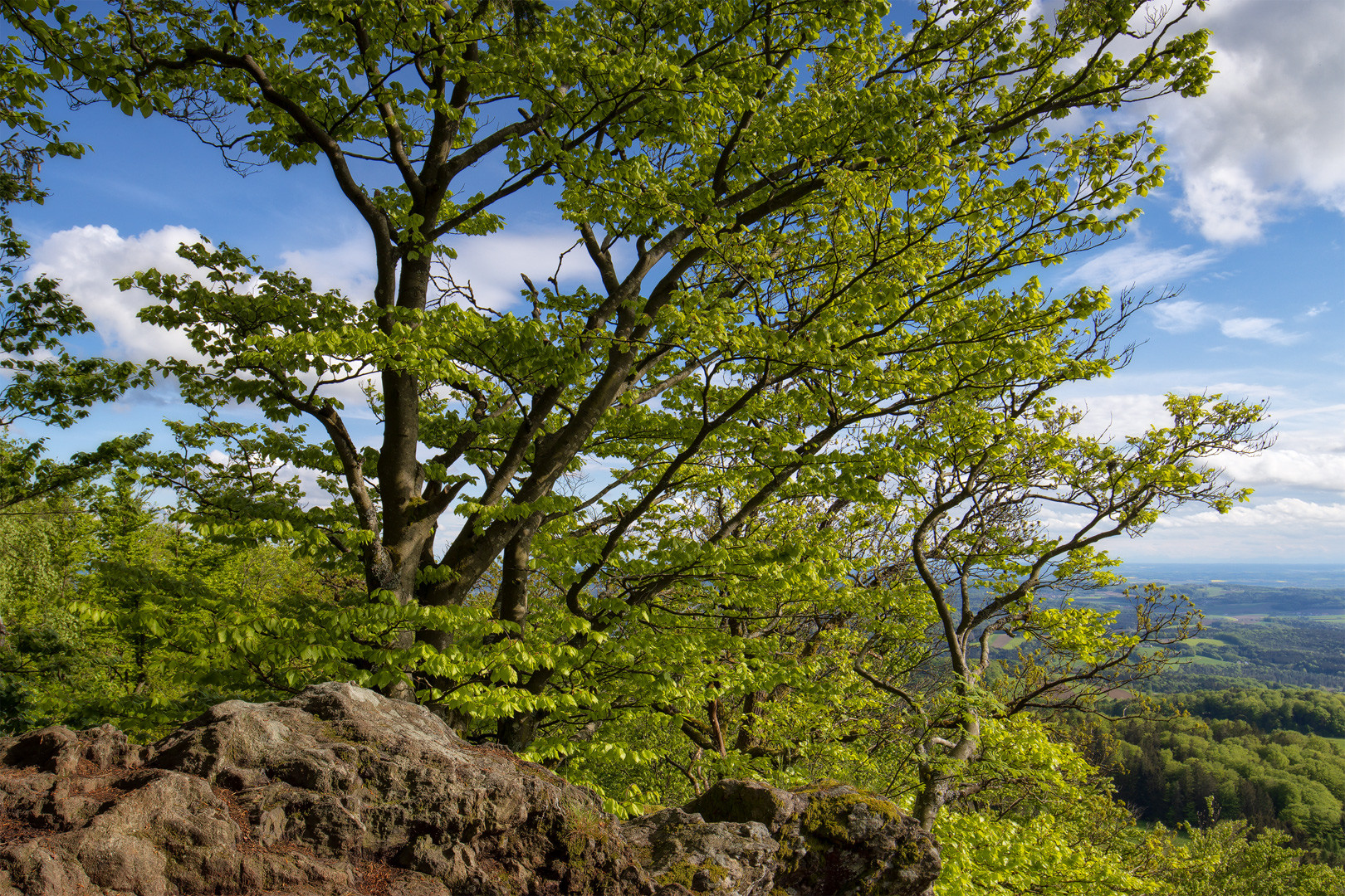 Wanderung im Lallinger Winkel - Tour 10