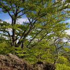 Wanderung im Lallinger Winkel - Tour 10