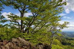 Wanderung im Lallinger Winkel - Tour 10