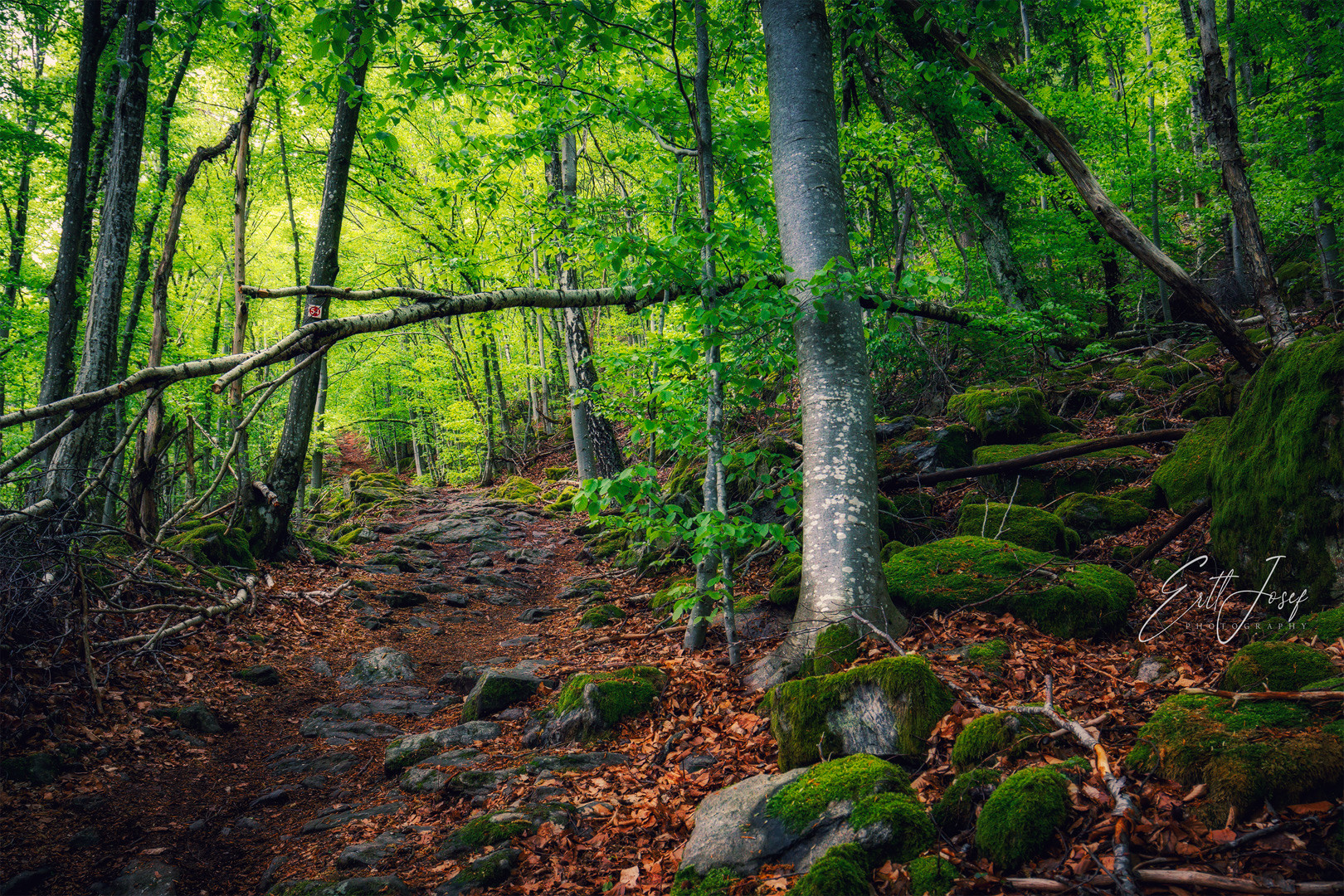 Wanderung im Lallinger Winkel - Tour 10