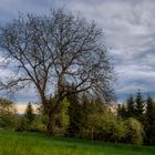 Wanderung im Lallinger Winkel - Tour 10