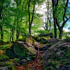 Wanderung im Lallinger Winkel - Tour 10