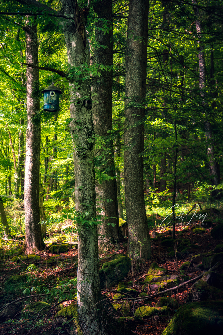 Wanderung im Lallinger Winkel - Tour 10