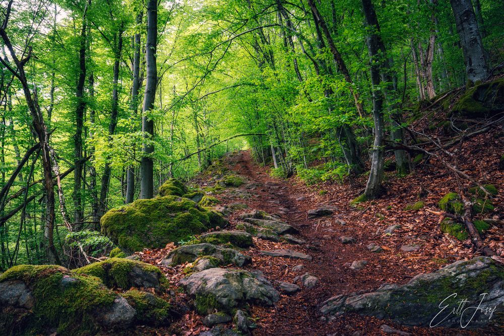 Wanderung im Lallinger Winkel - Tour 10