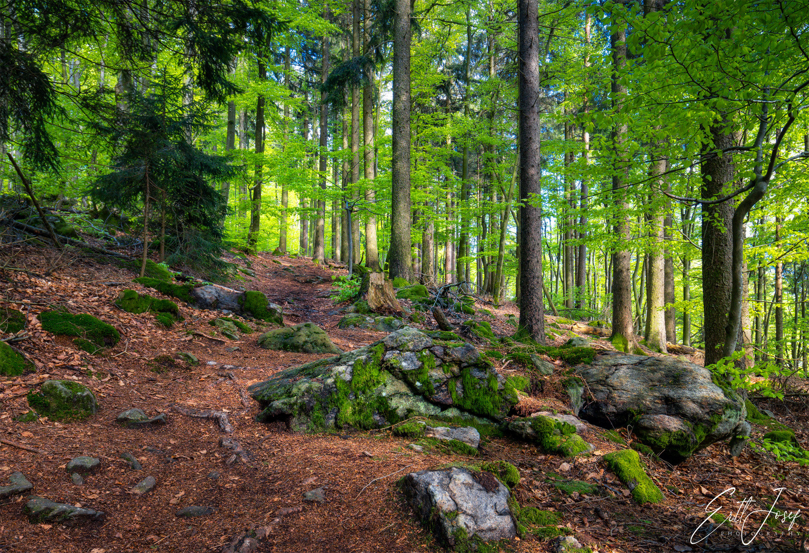 Wanderung im Lallinger Winkel - Tour 10