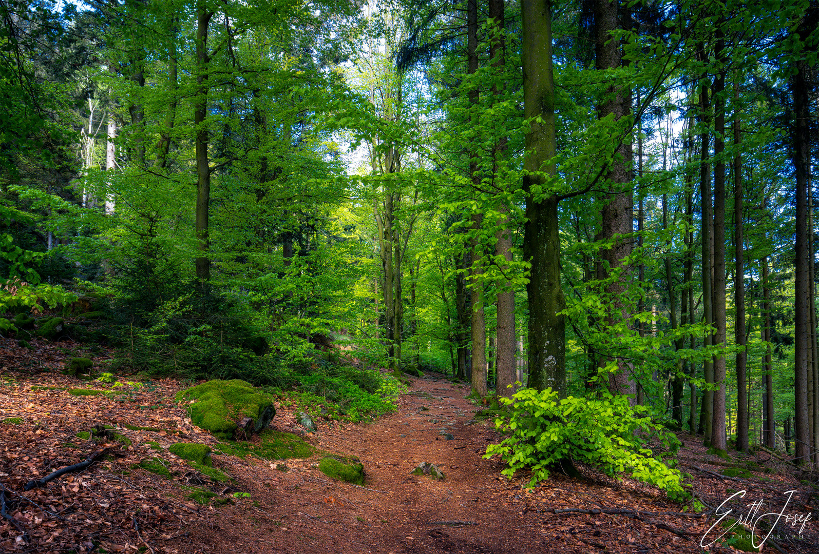 Wanderung im Lallinger Winkel - Tour 10