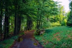 Wanderung im Lallinger Winkel - Tour 10