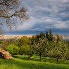 Wanderung im Lallinger Winkel - Tour 10