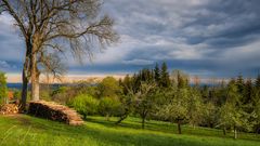 Wanderung im Lallinger Winkel - Tour 10