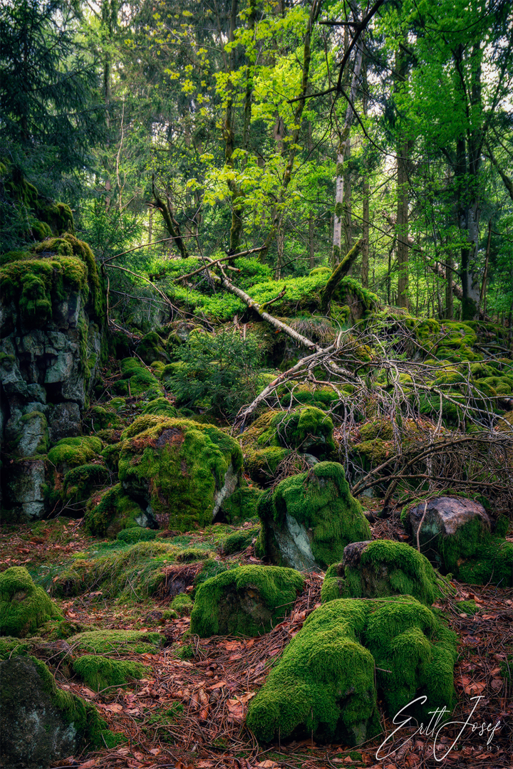 Wanderung im Lallinger Winkel - Tour 10